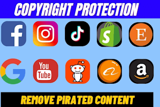be your IP lawyer for trademark, copyright, patent and ecommerce disputes