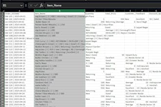 do professional excel data entry and formatting