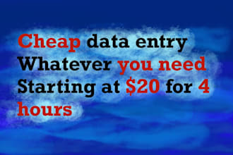 cheap data entry, excel, word, PDF, database, access, etc