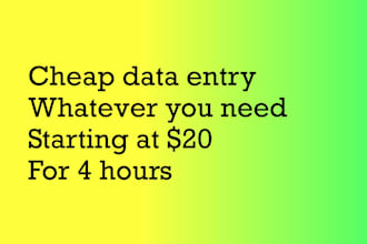 cheap data entry, word, PDF, etc