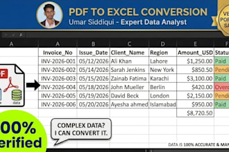 provide flawless PDF to excel document conversion and data cleanup