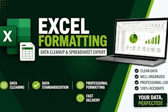 excel spreadsheet formatting and data cleanup