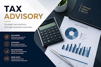 provide taxation and accounting consulting