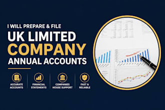 prepare and file UK limited company annual accounts and financial statement