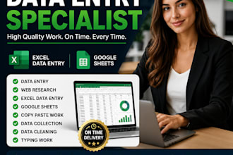 do fast and accurate data entry in excel or google sheets