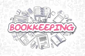 provide professional bookkeeping and accounting services