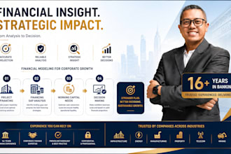 build a professional excel financial model for your project or business