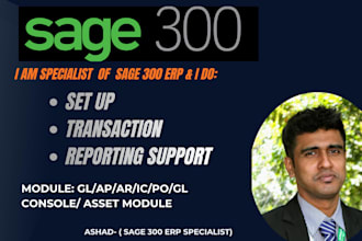 set up and support sage 300 erp for your business