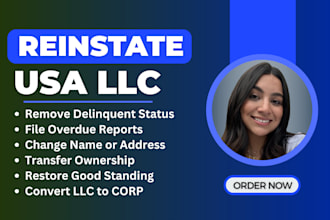 fix, reinstate your delinquent llc and amend llc for delaware or wyoming llc