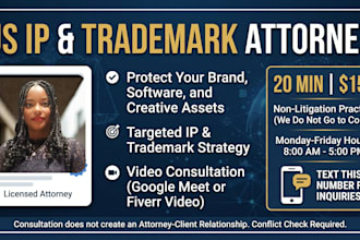 provide an intellectual property and trademark consultation