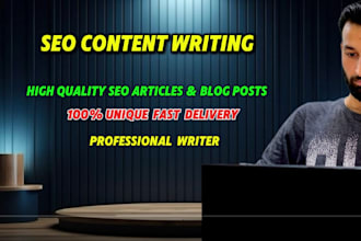 do professional SEO content writing for your website