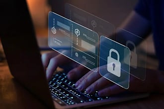 perform a website security audit