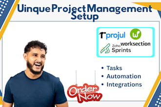 setup projul, worksection, celoxis, pagico, zoho sprints, project management