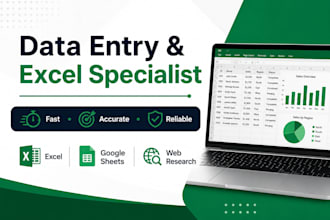 do fast and accurate data entry in excel or google sheets