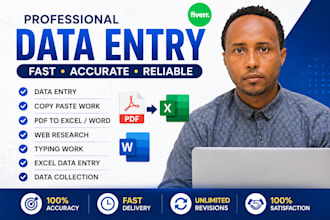 do professional data entry accurately and fast