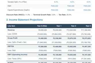 build an investor ready financial model and strategy for your startup