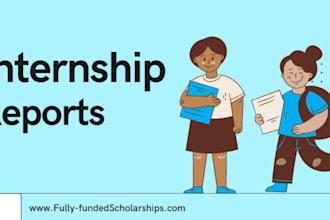 assist in writing professional internship reports and attachments reports