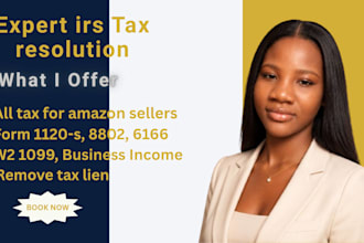 prepared and filed US individual tax returns with a USA attorney