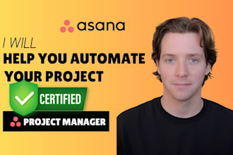 build custom asana workflow projects, dashboard or goal