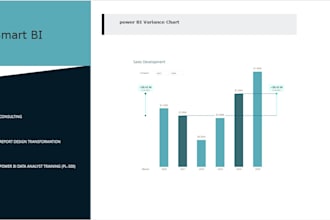 create professional power bi dashboards and reports