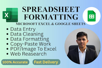 do accurate exel data entry and spreadsheet formatting