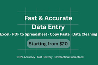 do accurate and fast data entry, copypaste, and excel work
