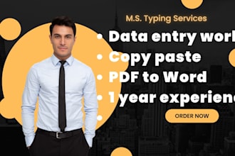 do professional data entry, copy paste, excel work