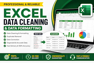 clean, format and organize excel data professionally