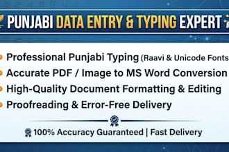 do professional punjabi PDF to word typing and document formatting