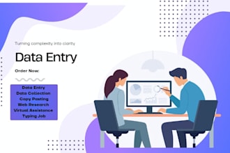 do data entry, copy paste and web research accurately
