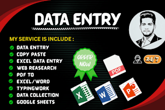 provide accurate data entry and web research expert