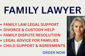 assist self representing litigants with family law cases