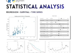 perform statistical analysis for research and academic