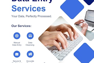 do professional data entry and virtual assistant excel work
