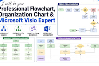 be your professional flowchart, organization chart, microsoft visio expert