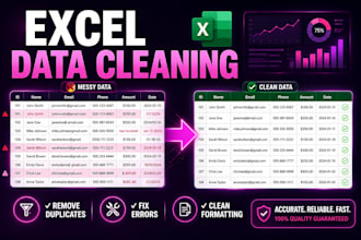 clean, format and organize excel data professionally
