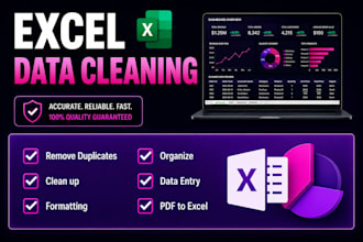clean, format and organize excel data professionally