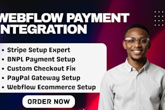 fix, integrate bnpl klarna google pay afterpay stripe paypal to webflow website