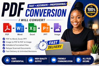 be your virtual assistant for data entry and file conversion