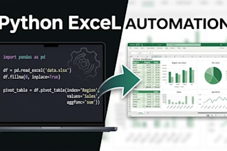 do python excel automation and data processing scripts