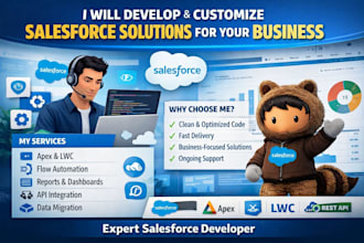 develop and customize salesforce solutions for your business