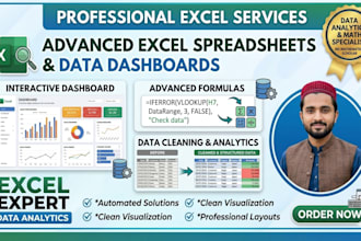 build professional excel spreadsheets, advanced formulas, and data dashboards