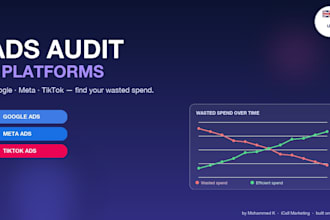 audit your google ads, meta ads and tiktok ads, UK based