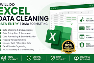 do data entry, clean, format, merge, split excel data