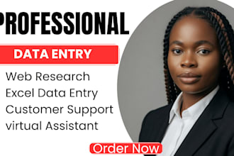 be your virtual assistant for data entry, customer support and web research