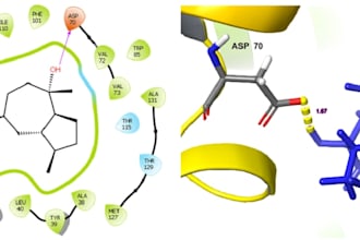 do molecular docking, cadd, and bioinformatics analysis