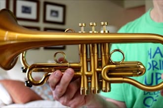 record trumpet, french horn, tuba, trombone, flugelhorn, and brass section