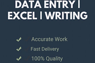 do accurate data entry and excel data capturing