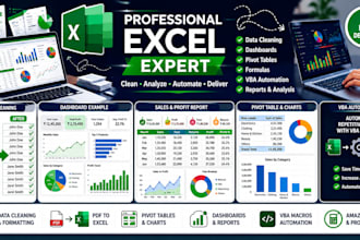 create professional excel dashboards and reports