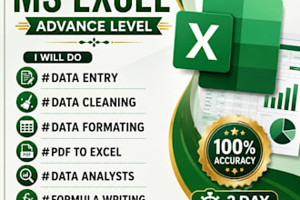 professional excel data formatting services